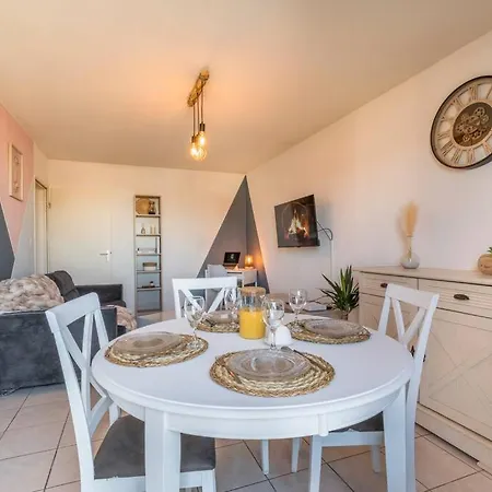 Splendid Et Cosy T2 Terrasse, Airbus Et Aeroport