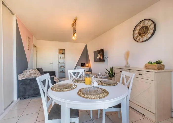 Splendid Et Cosy T2 Terrasse, Airbus Et Aeroport