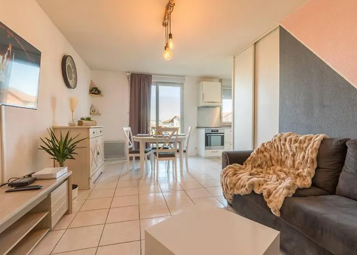 Apartment Splendid Et Cosy T2 Terrasse, Airbus Et Aeroport *