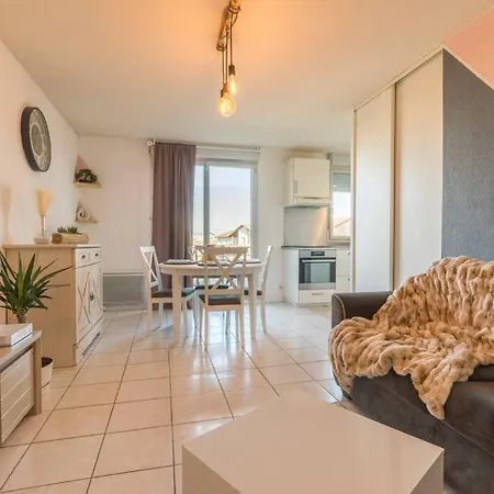 Apartament Splendid Et Cosy T2 Terrasse, Airbus Et Aeroport *