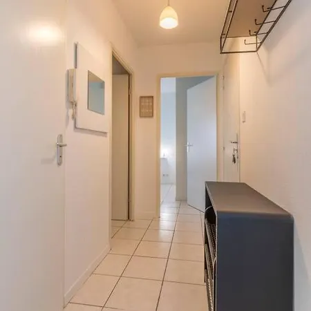 Splendid Et Cosy T2 Terrasse, Airbus Et Aeroport Apartament *