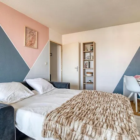 Apartament Splendid Et Cosy T2 Terrasse, Airbus Et Aeroport Tuluza